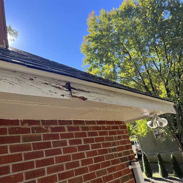 Damaged Fascia