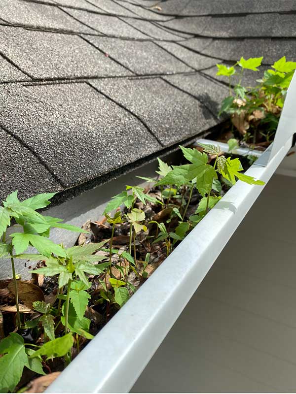 Full-Gutters