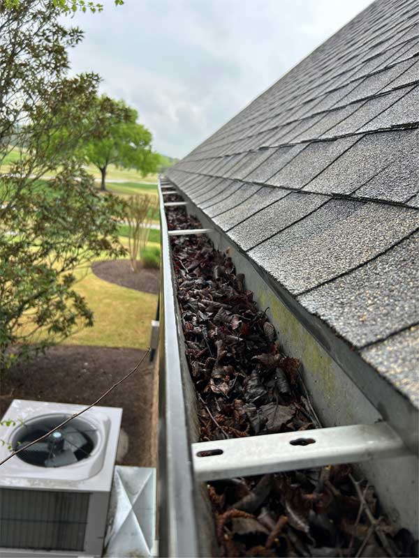 Leaves-in-Gutter