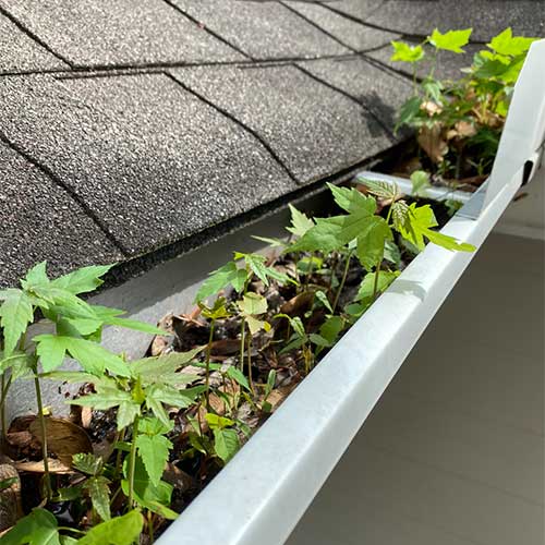 Spring Full Gutter Cleaning